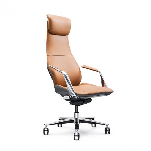 Yönetici Koltukları